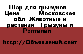 Шар для грызунов › Цена ­ 200 - Московская обл. Животные и растения » Грызуны и Рептилии   